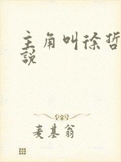 主角叫徐哲的小说