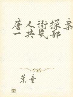 唐人街探案网剧一共几部