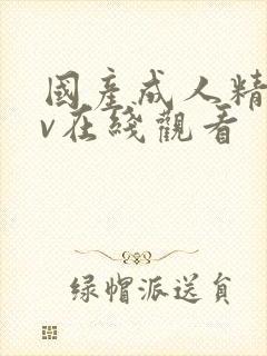 国产成人精品av在线观看