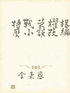 特战荣耀根据什么小说改编