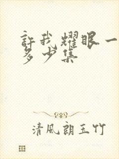 许我耀眼一共有多少集