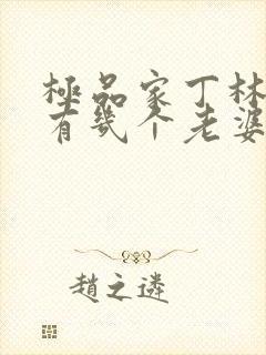 极品家丁林晚荣有几个老婆