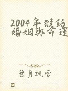 2004年猴的婚姻与命运