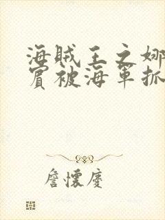 海贼王之娜美罗宾被海军抓住封面