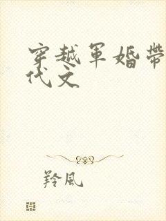 穿越军婚带崽年代文
