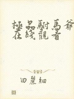 极品驸马爷短剧在线观看