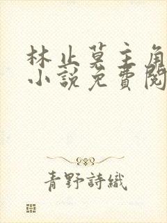 林止莫主角穿越小说免费阅读封面