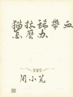 猫拉稀带血呕吐怎么办