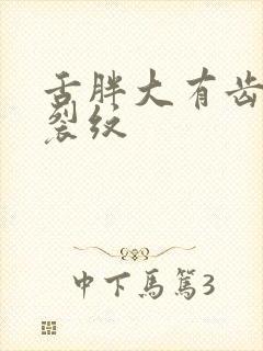 舌胖大有齿痕有裂纹