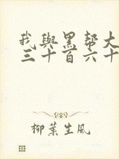 我与黑帮大佬的三十百六十五天2在线观看