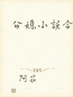 公媳小说合集