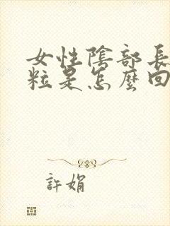 女性阴部长白颗粒是怎么回事