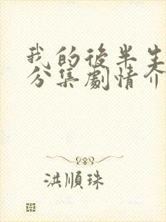 我的后半生剧情分集剧情介绍