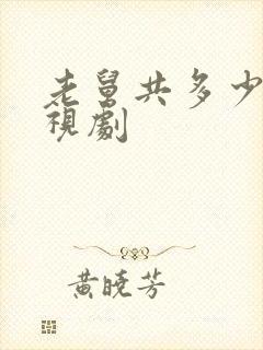 老舅共多少集电视剧