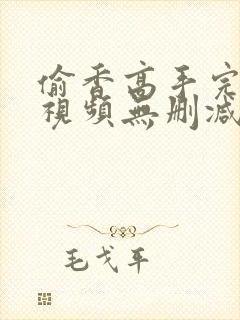 偷香高手完整版视频无删减