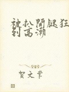 被扒开腿狂躁c到高潮