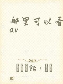 哪里可以看麻豆av