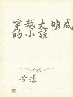 穿越大明成崇祯的小说