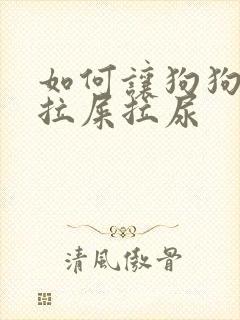 如何让狗狗不乱拉屎拉尿