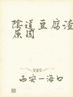 阴道豆腐渣白带原因