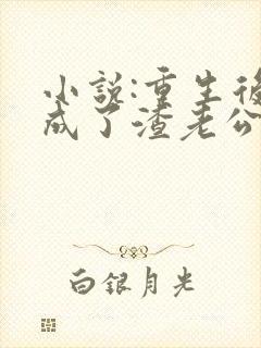 小说:重生后,成了渣老公的白月光