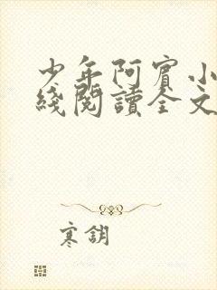 少年阿宾小说在线阅读全文免费