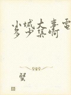 小城大事电视剧多少集啊