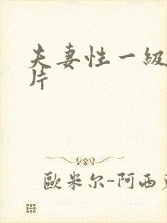 夫妻性一级黄色片