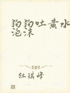 狗狗吐黄水是带泡沫