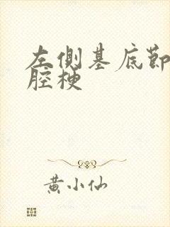 左侧基底节区脑腔梗