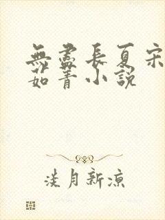 无尽长夏宋洵沈茹菁小说