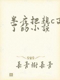 半夜把亲c高潮了的小说