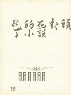 我的死对头破产了小说