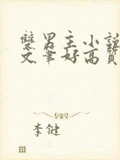 双男主小说推荐文笔好高质量完结