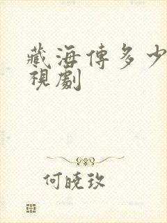 藏海传多少集电视剧封面