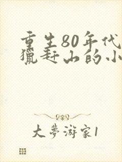 重生80年代打猎赶山的小说