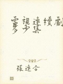 电视连续剧老舅多少集