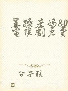 暴躁老妈80集电视剧免费观看