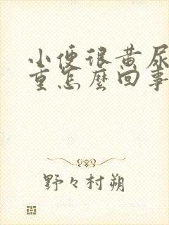 小便很黄尿骚味重怎么回事封面