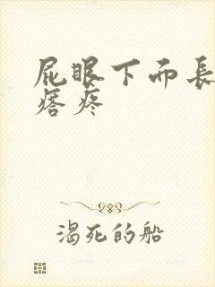 屁眼下面长硬疙瘩疼