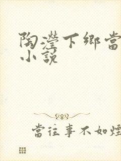 陶滢下乡当知青小说