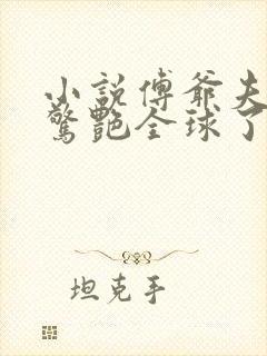 小说傅爷夫人又惊艳全球了免费