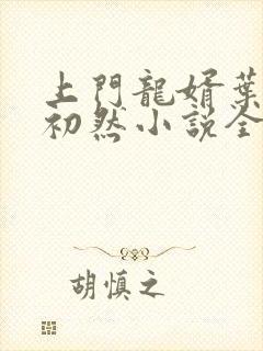 上门龙婿叶辰萧初然小说全集免