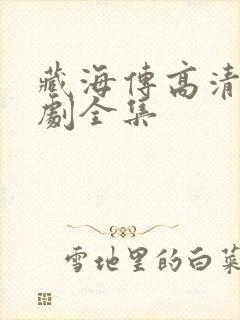 藏海传高清电视剧全集