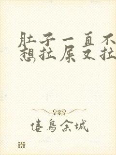 肚子一直不舒服想拉屎又拉不出来怎么办封面