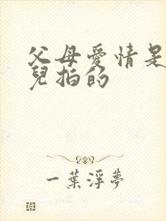 父母爱情是在哪儿拍的