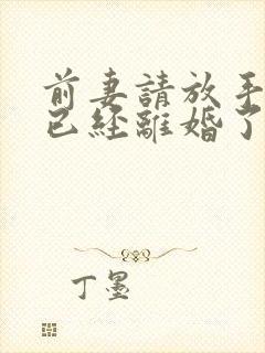 前妻请放手我们已经离婚了短剧免费观看