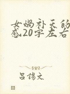 女娲补天的读后感20字左右封面