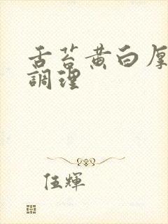 舌苔黄白厚怎么调理