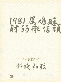 1981属鸡旺财的微信头像